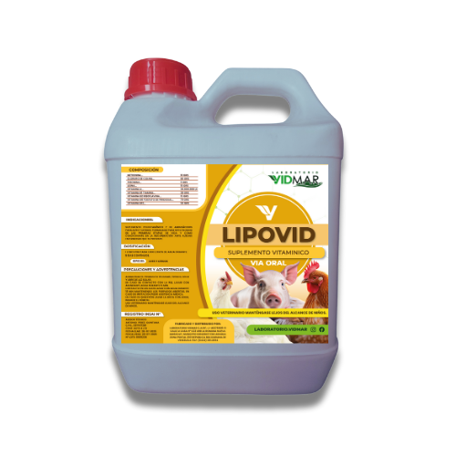 1 LIPOVID